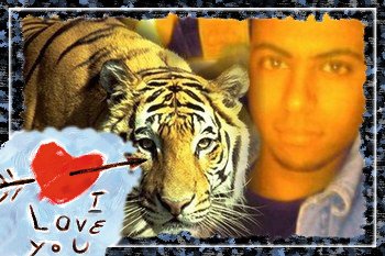 salama 3alikom